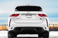 JAGUAR-3-1024x1024-1