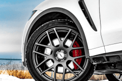 JAGUAR-4-1024x1024-1