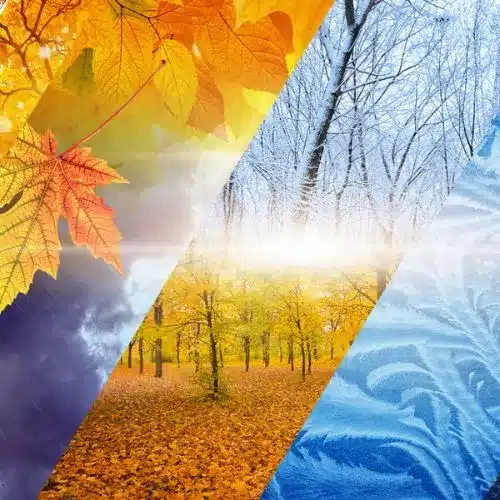 Collage depicting the four seasons: vibrant autumn leaves in shades of orange and yellow, a serene winter landscape with frosted trees, and a backdrop of blue textures representing ice, symbolizing the transition from fall to winter.